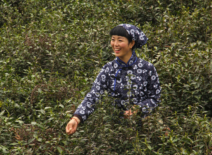 槿莲app 热门推荐